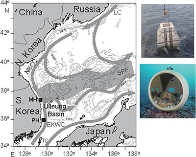 Food Web Trophic Structure at Marine Ranch Sites off the East Coast of Korea